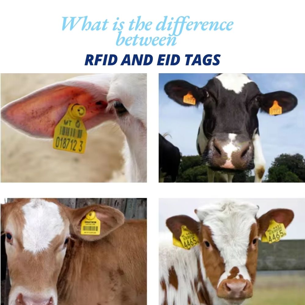 RFID TAGS