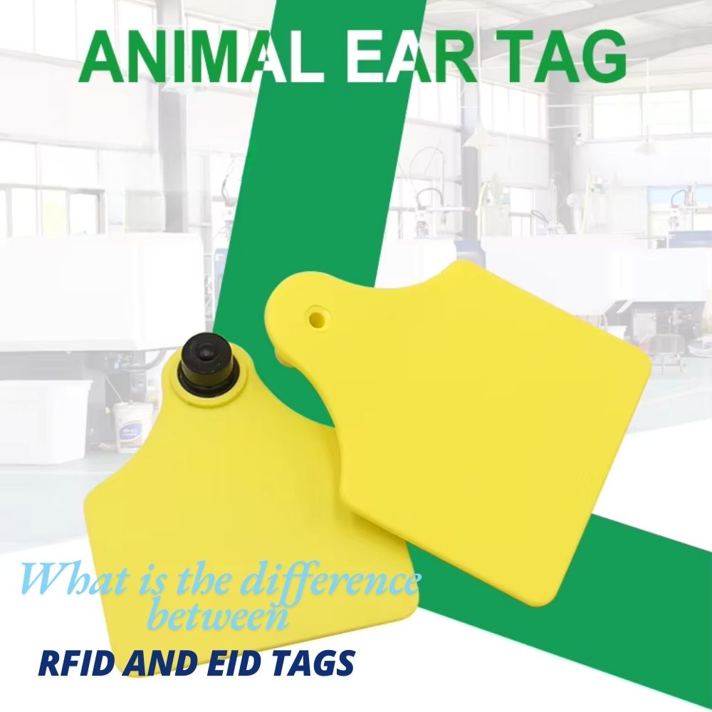 RFID TAGS