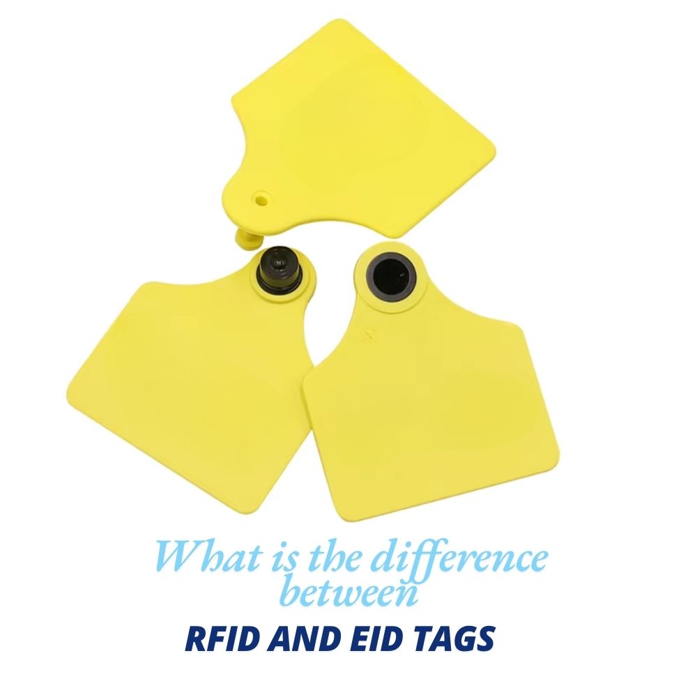 RFID TAGS