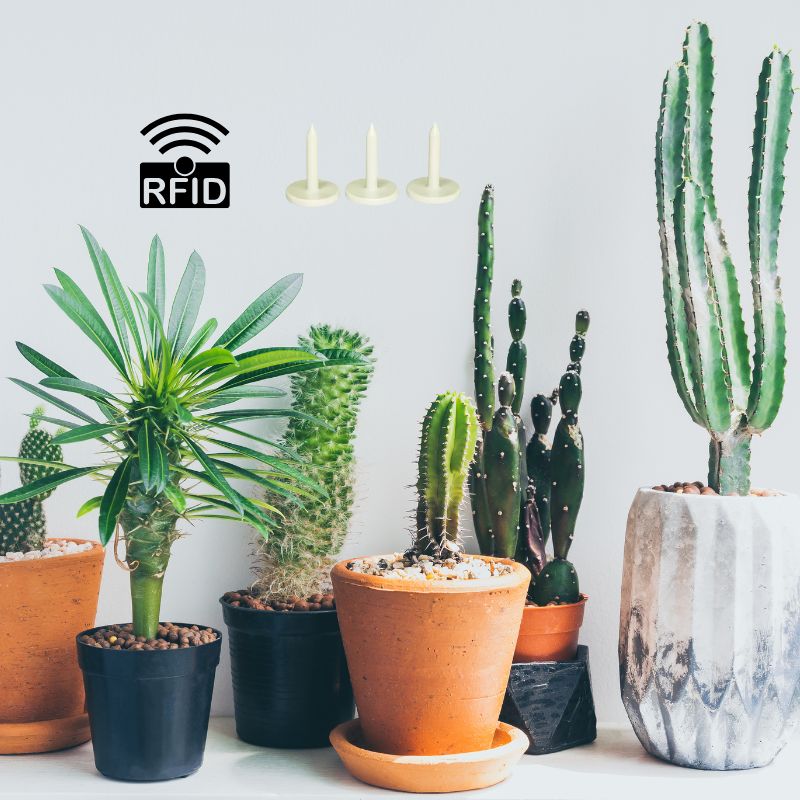 RFID-Nagelanhänger